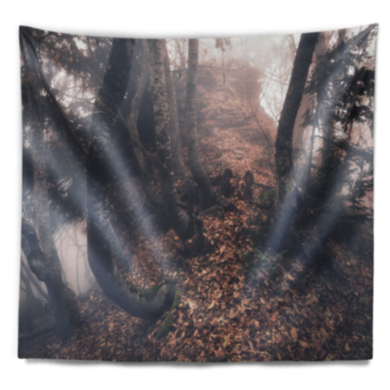 Paysage, automne, brouillard, forêt, tapisserie, H 78 po x l 92 po