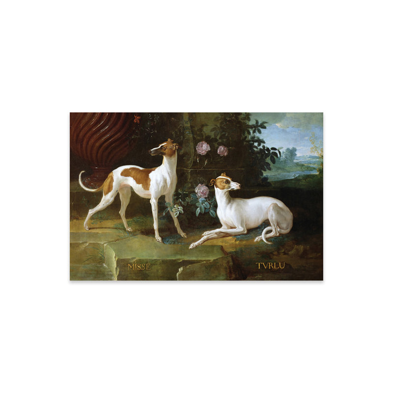 Misse et Turlu, deux chiens gris de Louis XV