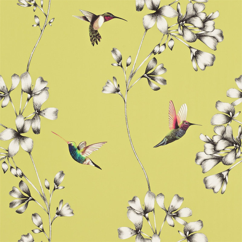 Amazilia 10.05m x 68.6cm Wallpaper Roll, Gooseberry