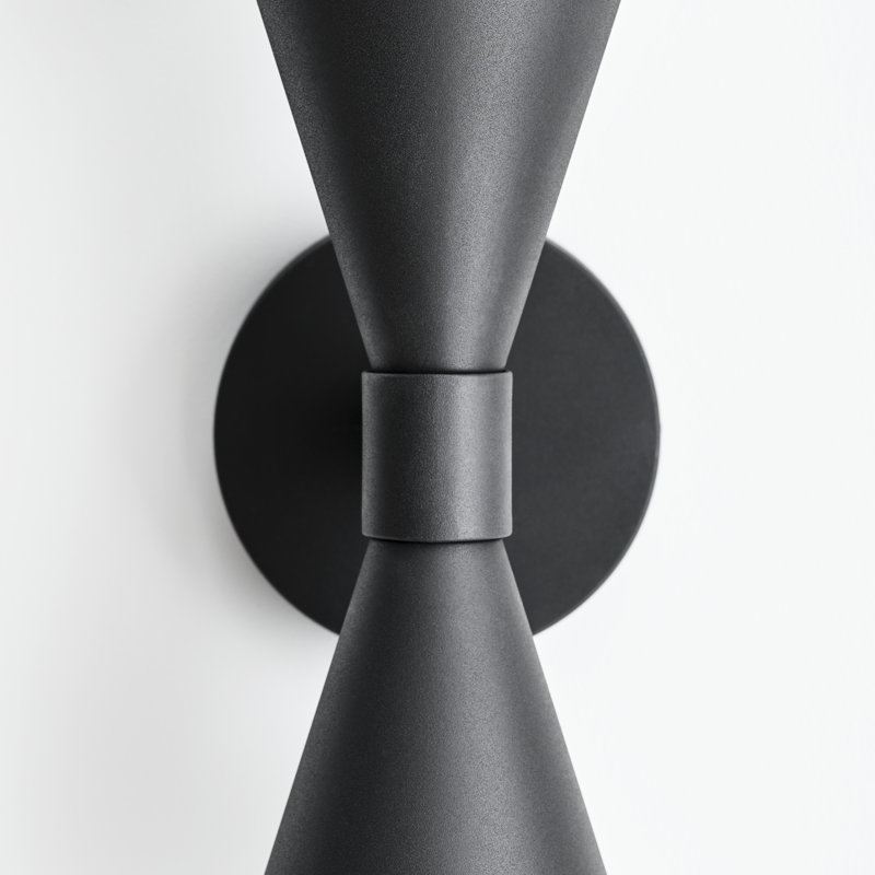 Albertine Textured Black 2-Light Outdoor Wall Sconce