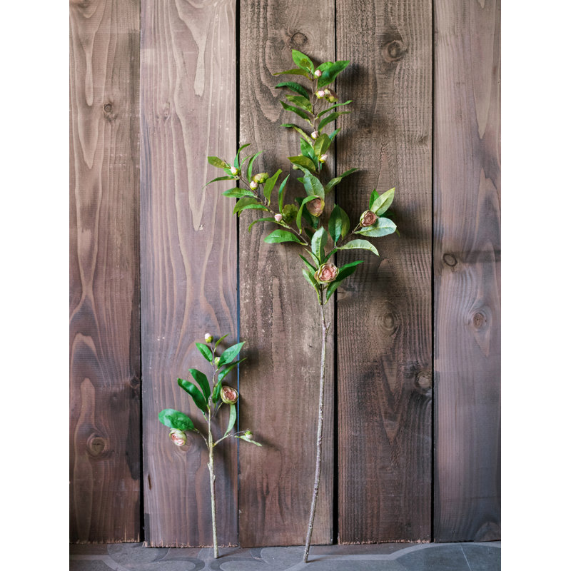Camellia Arrangement, Pink, 5 Stems, 20.5" H x 10.2" W x 1" D