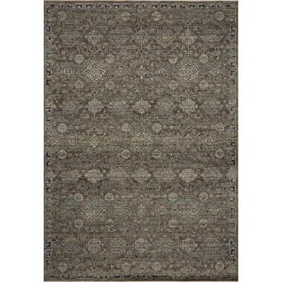 Loloi Soraya Bark / Lagoon Traditional Area Rug