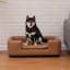 Canapé pour chien Filoteia avec revêtement amovible-1263887032-1263887033
