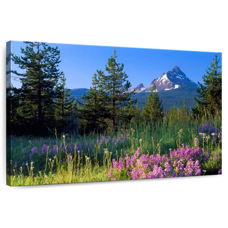 Alvord Mount Washington Flower Field, 24" H x 36" W