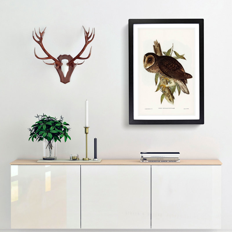 Sooty Owl by Elizabeth Gould - Picture Frame Painting Print, Black Framed, 36cm H x 27cm W x 2cm D
