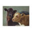 « farm pals ii », peinture sur toile tendue-527760726