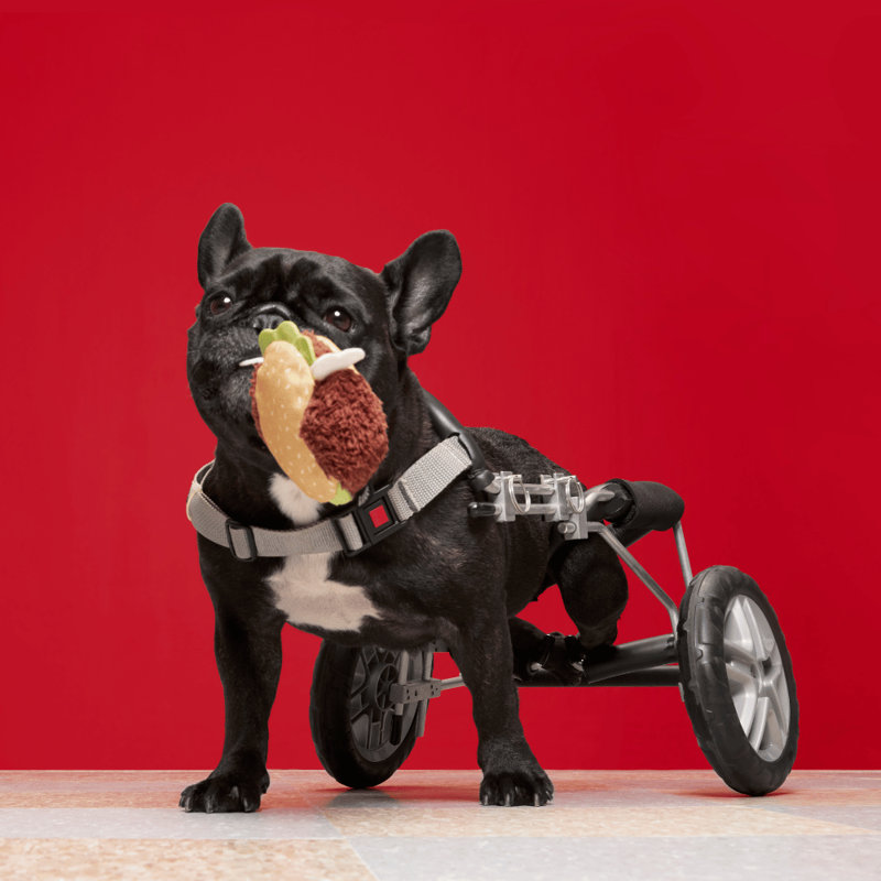 The Best Of Bark Super Chewer Accessories
