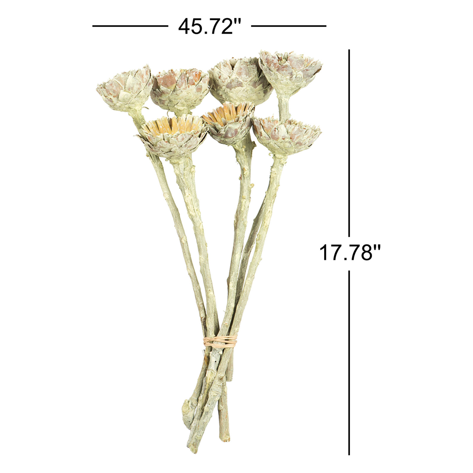 Dried Basil Rosette Stems