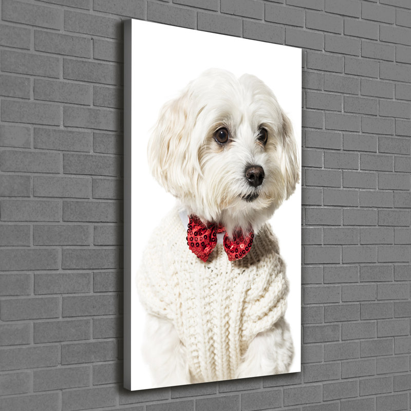 Maltese In A Bow Tie - Wrapped Canvas Print, 120cm H x 60cm W