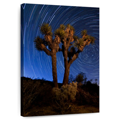 Alvord Desert Star Trail