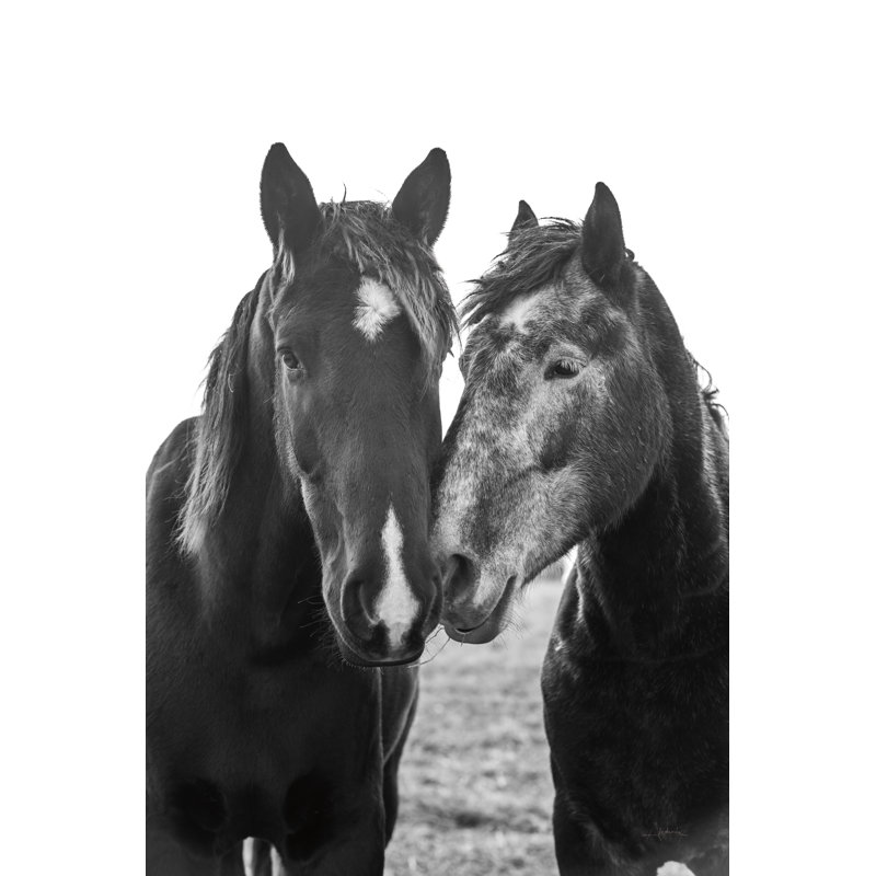 Good Good Mane par Aledanda - photographie sur toile tendue, H 30 po x l 20 po