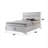 Storage Platform Bed For Residential Bedroom White Finish Synthetic Wood Queen Size With Built-In Drawer Storage