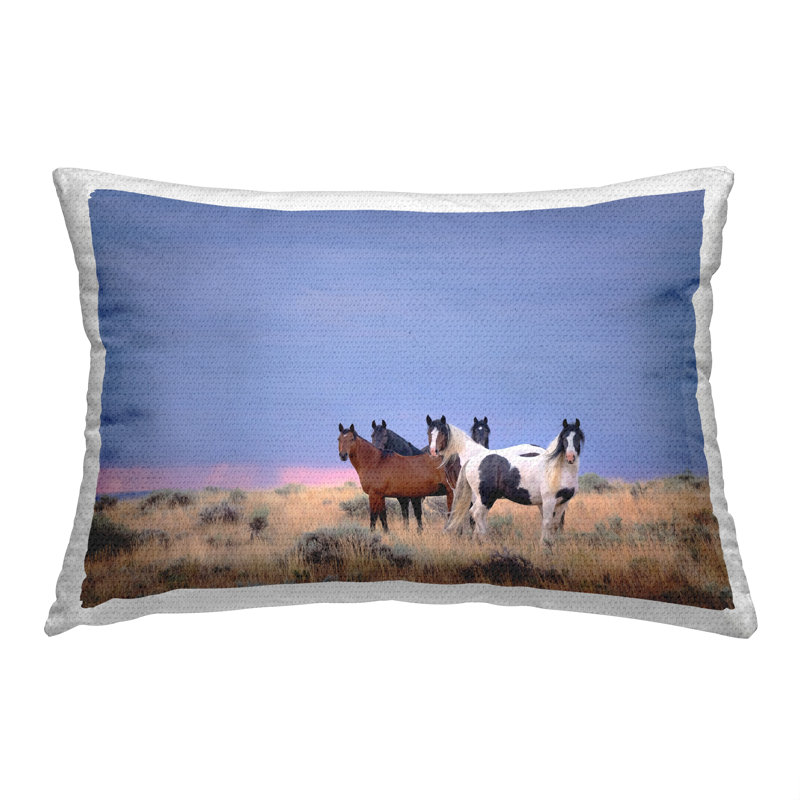 Polyester Throw Rectangular Indoor/Outdoor Pillow Cover & Insert by PHBurchett