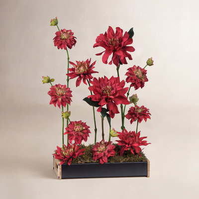 Dahlia Floral Stems