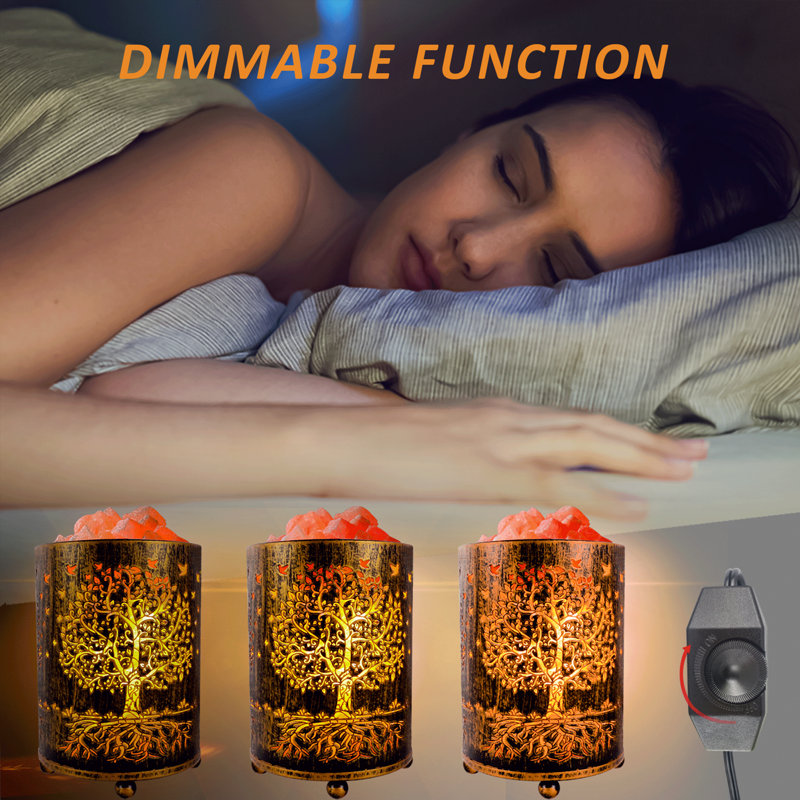 VanVleet Himalayan 3.32 lbs Salt Lamp