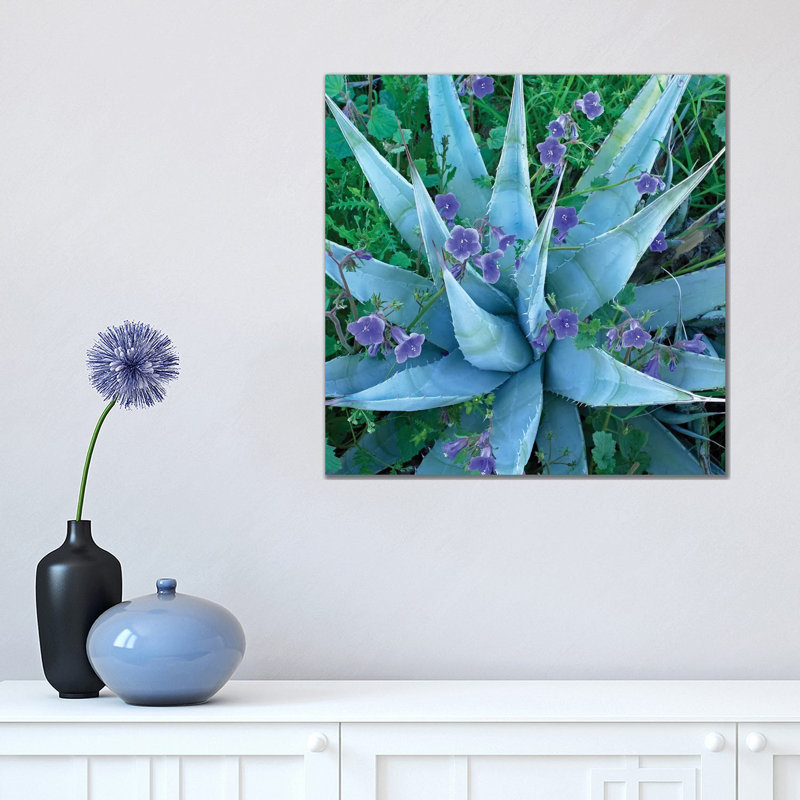 Bluebell And Agave, North America II by Tim Fitzharris - Wrapped Canvas Print, 45.72 cm H x 45.72 cm W x 3.175 cm D