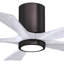 Ventilateur de plafond à 5 pales DEL avec ensemble d'éclairage inclus Irene-264743194-151522228-190528865