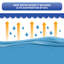 Couverture solaire pour piscine ovale hors-terre - Bleu-9784680