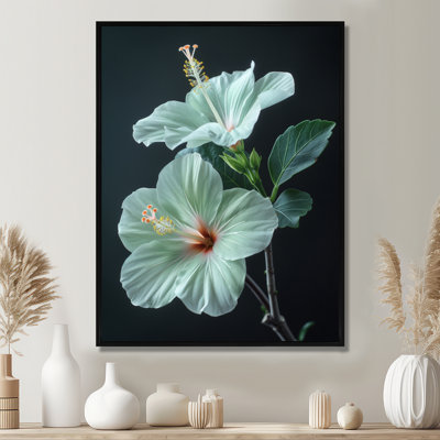 Hibiscus vert cristal II - Hibiscus