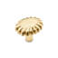 CK Series Knob-12829599