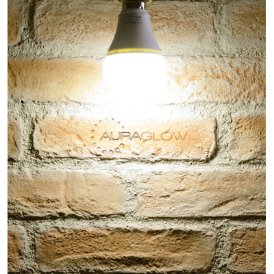 Furey 9W BA22d LED Light Bulb