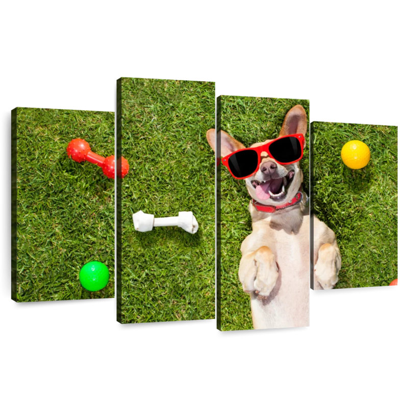 Ketti terrier chihuahua amusant, H 27 po x l 43 po