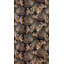 Abbie-Jai Eyelet Blackout Curtain