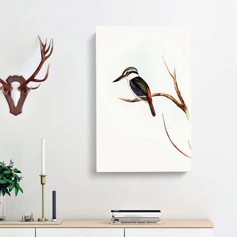 Halcyon Kingfisher by Elizabeth Gould - Wrapped Canvas, 50cm H x 35cm W x 3cm D