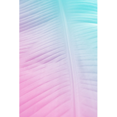 Palm Leave Background by Tigerstrawberry - Wrapped Canvas Print