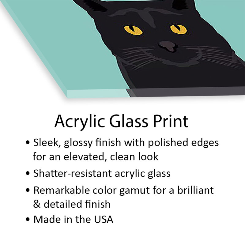 Chat (noir) imprimé sur verre acrylique, H 24 po x l 24 po x P 0,25 po