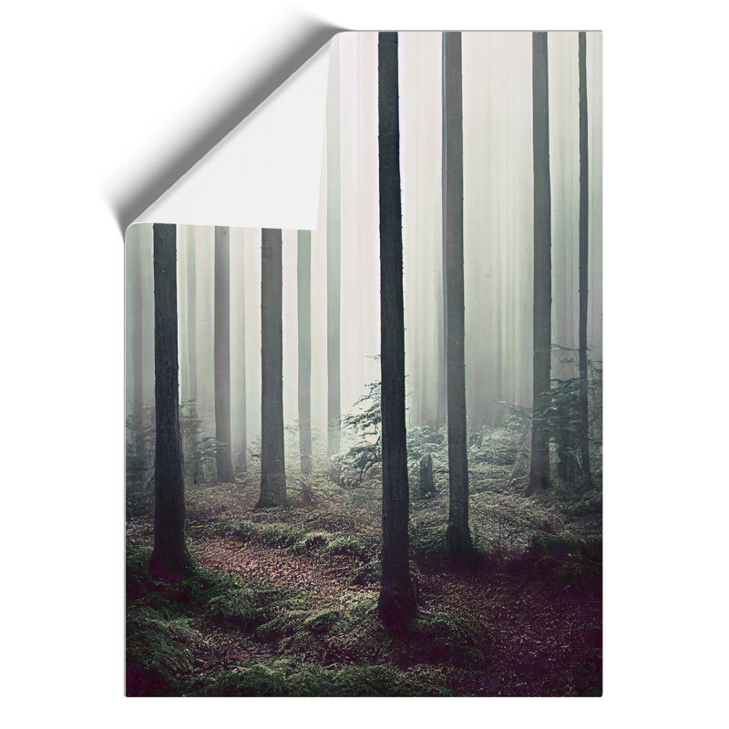 A Quiet Forest - Wall Art, Paper, 42cm H x 29.7cm W, No Matte