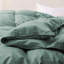 Insert de couette toutes saisons en plumes d'oie de coton biologique Puredown-87748957-87748961