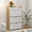 Range-chaussures avec 3 portes et 2 tiroirs, grand espace de rangement