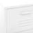 Storage Cabinet Freestanding File Cabinet with Shelves for Office Steel-2130848631