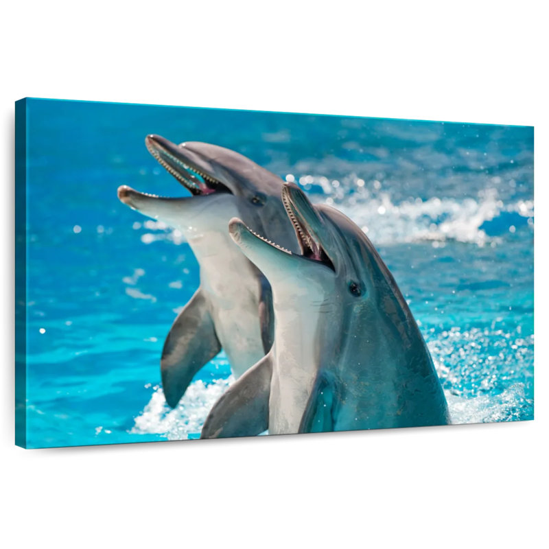 Excited Dolphins, 16" H x 24" W