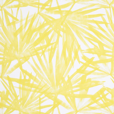 Sunlit Palm Wallpaper