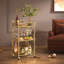 Basurto 46.8cm Bar Cabinet