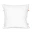 Housse de coussin d'intérieur-12384153