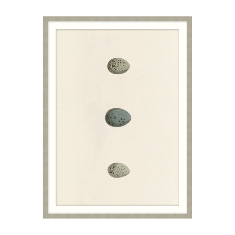 Unhatched 6 Illustration by Studio L57 Nouvelle, 20" H x 16" W