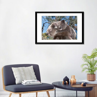 " Koala Mother Carrying Young In Gum Tree Forest, Victoria, Australia " by Tui De Roy