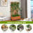 Pachl Vertical Garden with Trellis