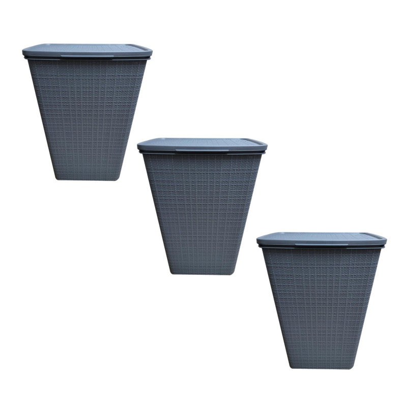 Panier à linge en rotin en plastique avec couvercle à charnières Latitude Run®, Gris