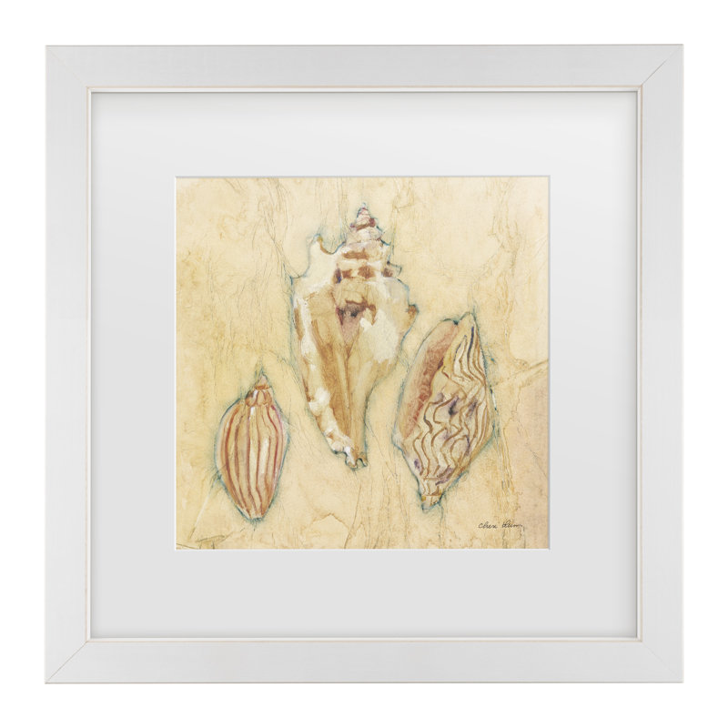 «Cheri Blum Shells I Matted», art encadré, H 13 po x l 13 po, Blanc