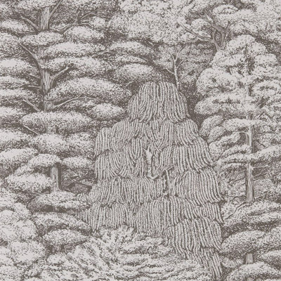 Sanderson Woodland Walk Wallpaper Roll