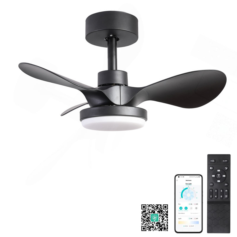 Petit ventilateur de plafond 24 po avec télécommande, Black
