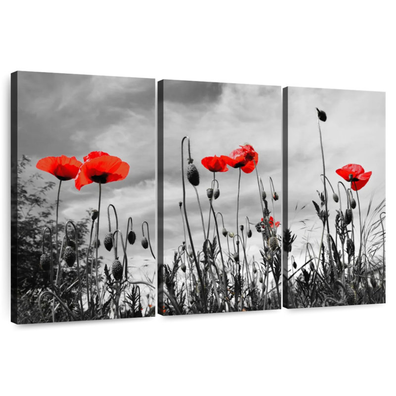 Coquelicots Harnek, H 36 po x l 57 po