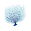 Blue Seafan Coral IV Print by Sofia Fox-26931101-26931106