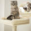 Barking 164cm H Cat Tree-89164594