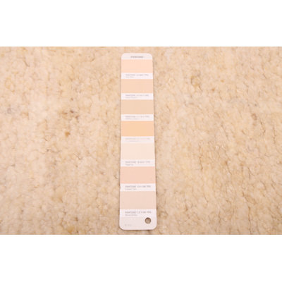 Looma Cream Rug 8'3" x 9'7"