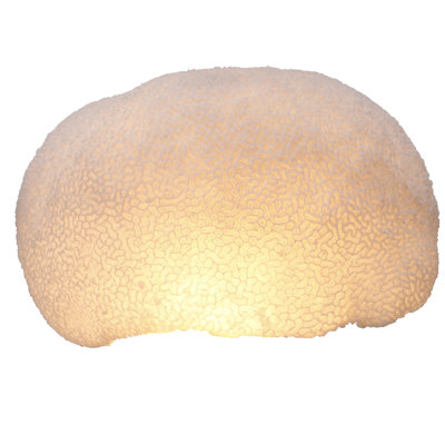 Photophore corail